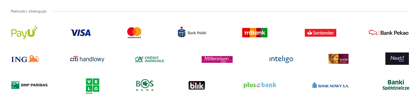 Płatności obsługuje PayU — Blik, Visa, Mastercard i przelewy bankowe